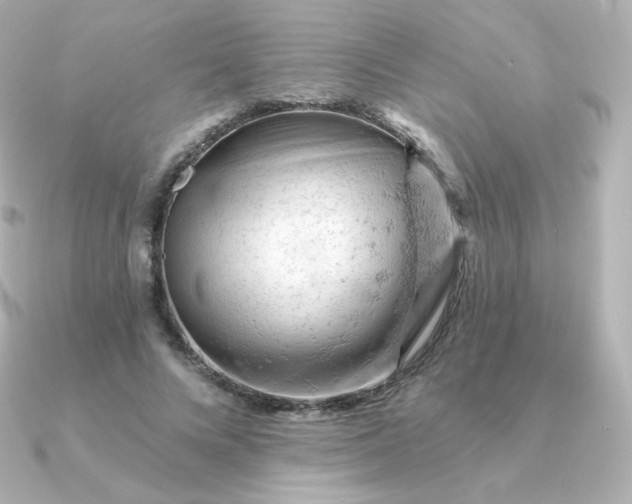 X0000090890688200708101403