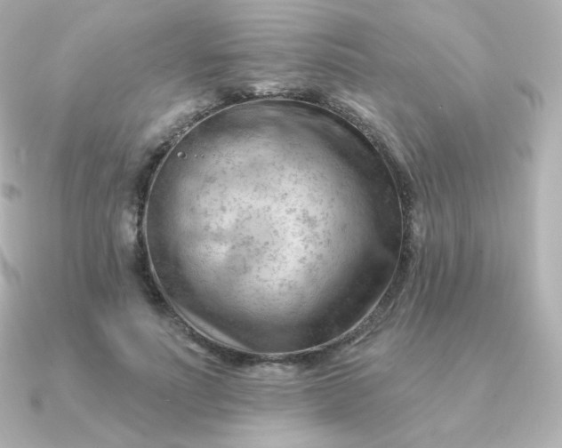 X0000090890691200708101402