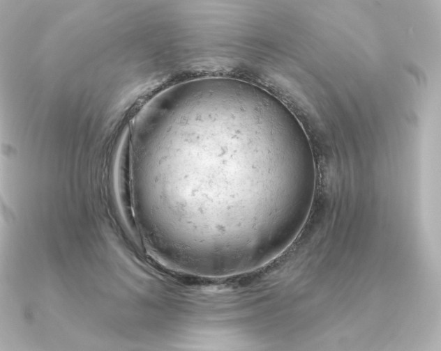 X0000090890692200708101402