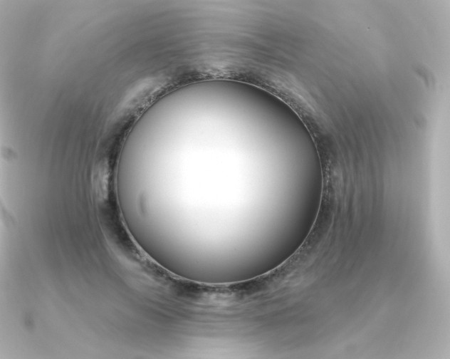 X0000090890694200708101402