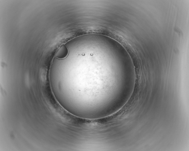 X0000090890695200708101402