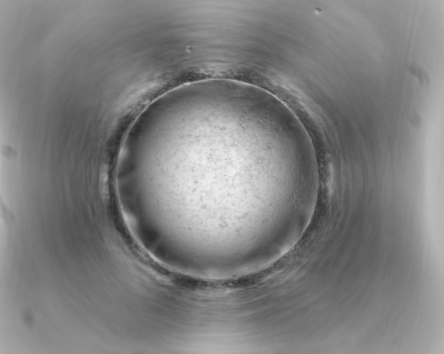 X0000090890696200708101402