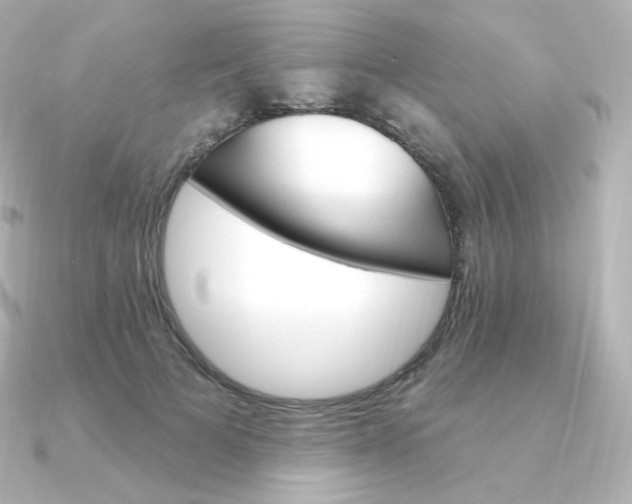 X0000090890697200708101402