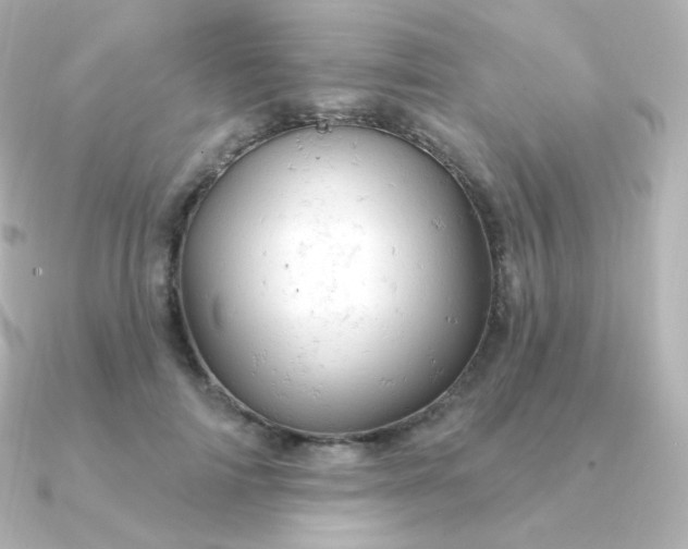 X0000090890698200708101402