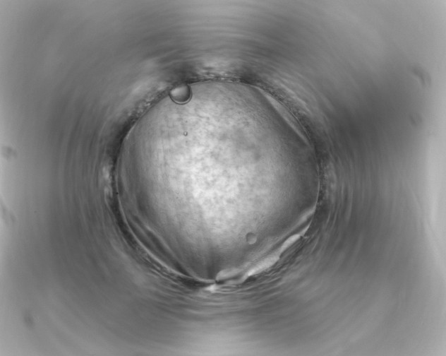 X0000090890699200708101402