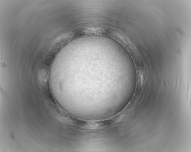 X0000090890701200708101402