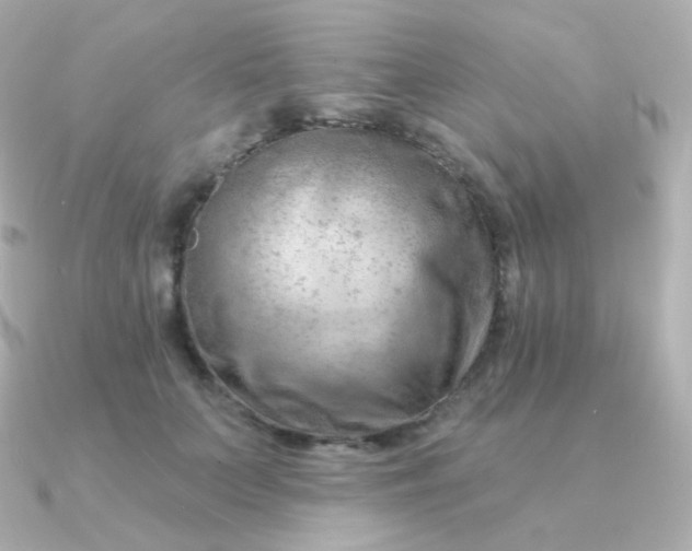 X0000090890703200708101402