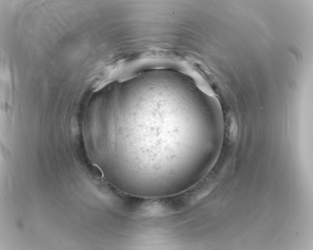 X0000090890704200708101402