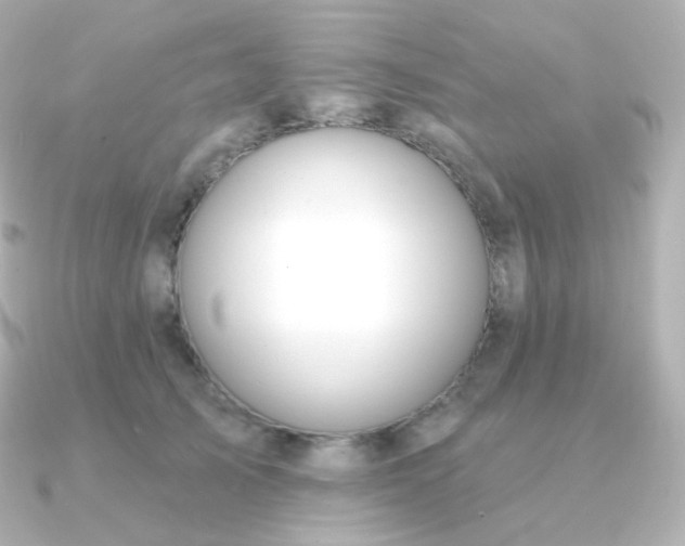 X0000090890705200708101402