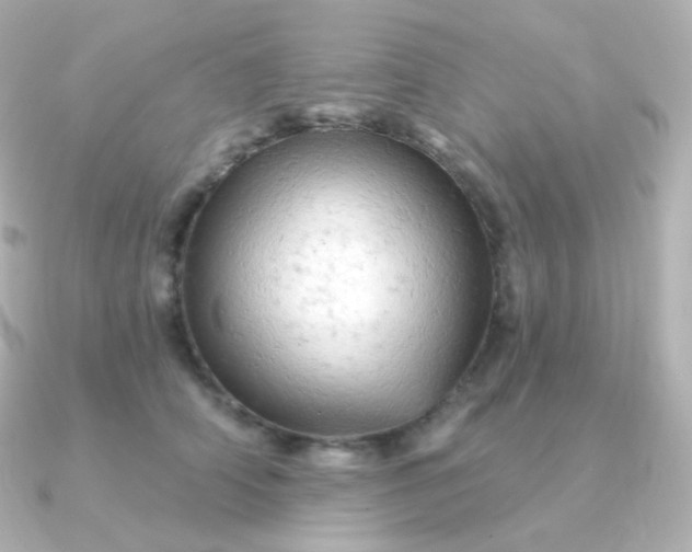 X0000090890706200708101402