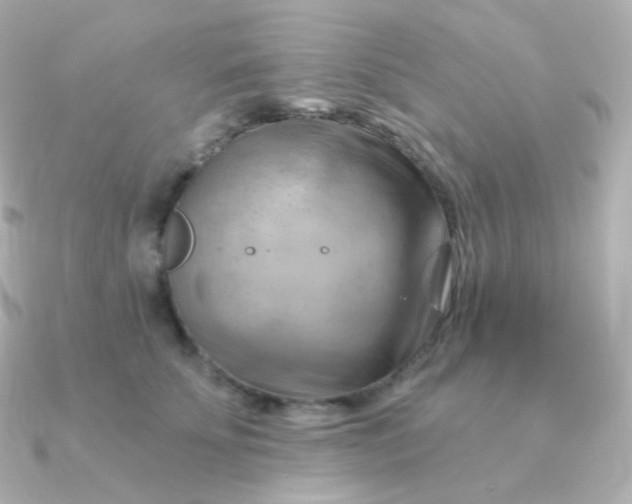 X0000090890707200708101402