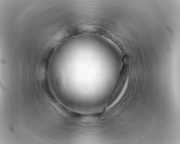 X0000090890708200708101402