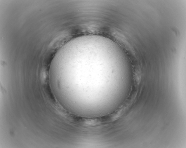 X0000090890709200708101402