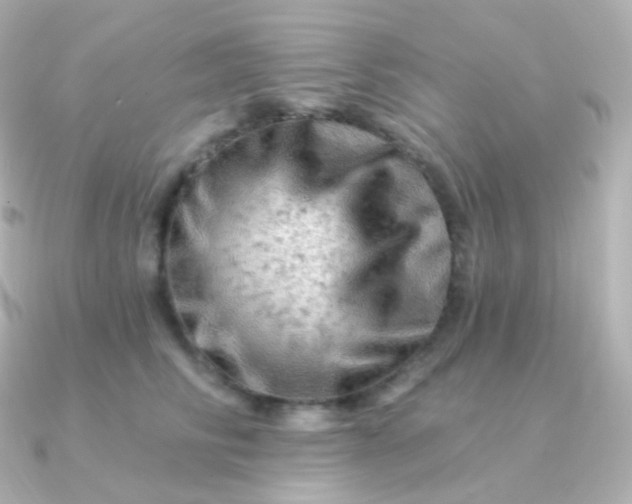 X0000090890710200708101402