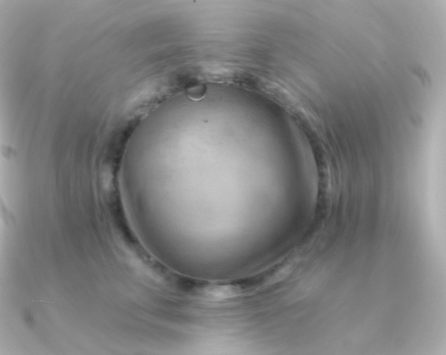 X0000090890711200708101402