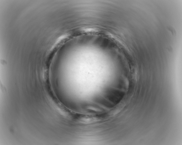 X0000090890712200708101402