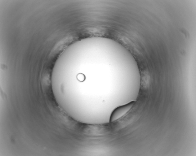 X0000090890713200708101402