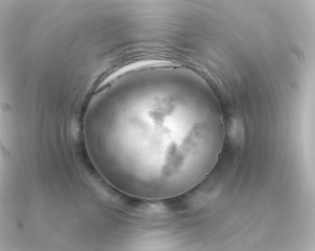 X0000090890715200708101402