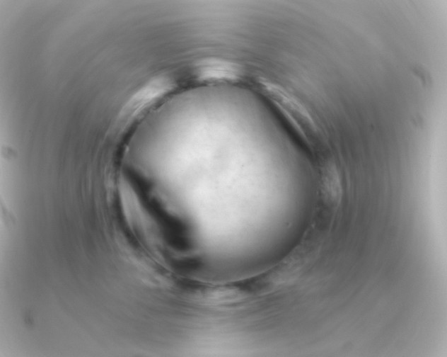 X0000090890716200708101402