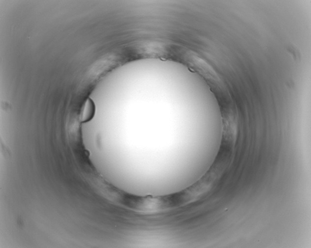 X0000090890717200708101402