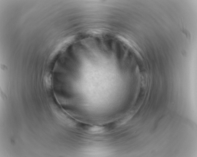 X0000090890718200708101402