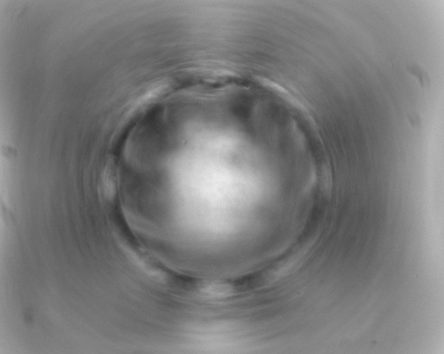 X0000090890719200708101402