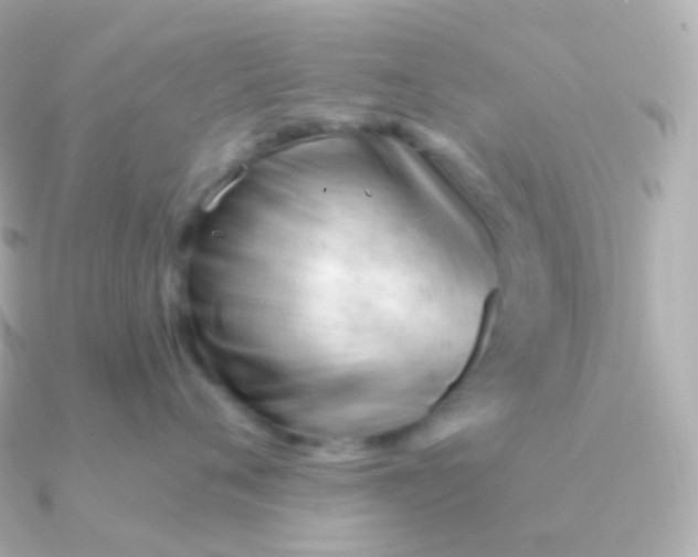 X0000090890720200708101402