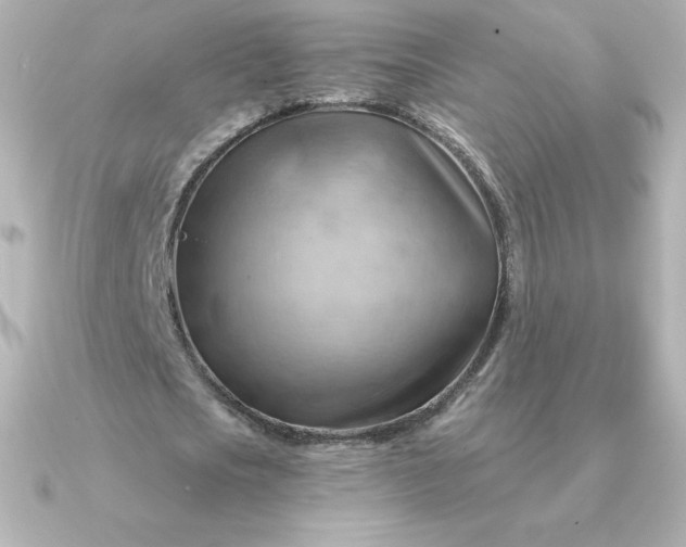 X0000090890721200708101402