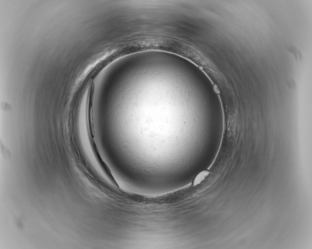 X0000090890722200708101402