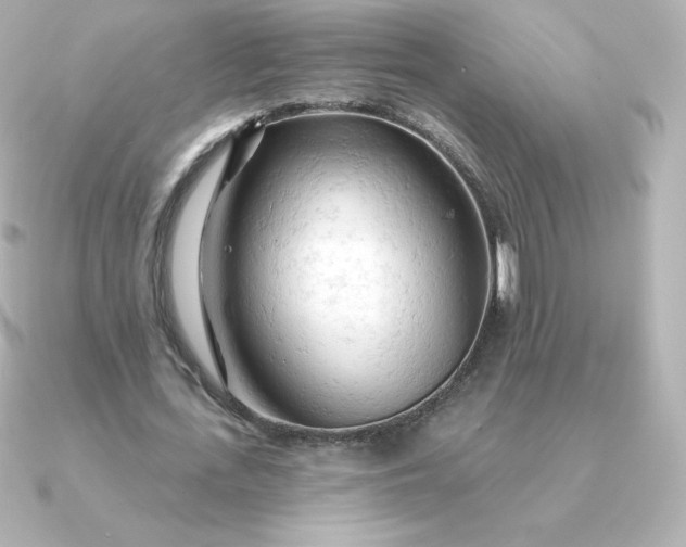 X0000090890723200708101402