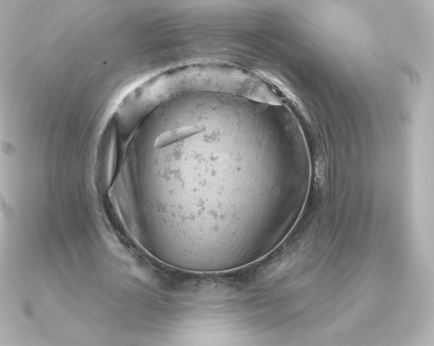 X0000090890724200708101402