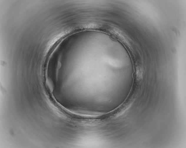 X0000090890725200708101402