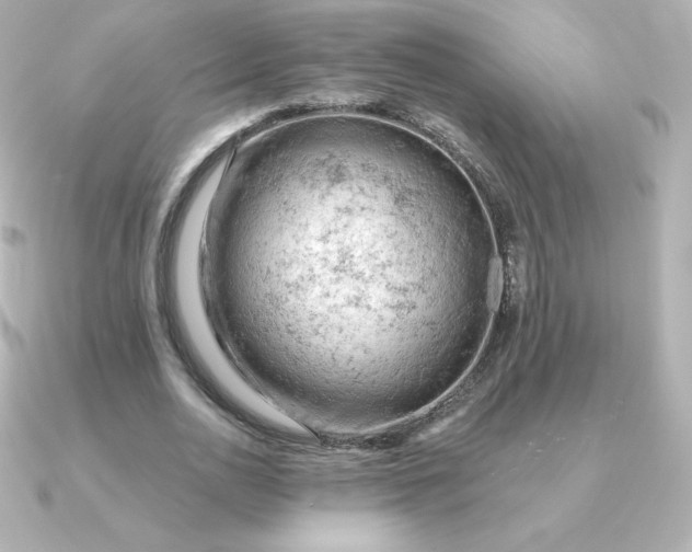 X0000090890726200708101402