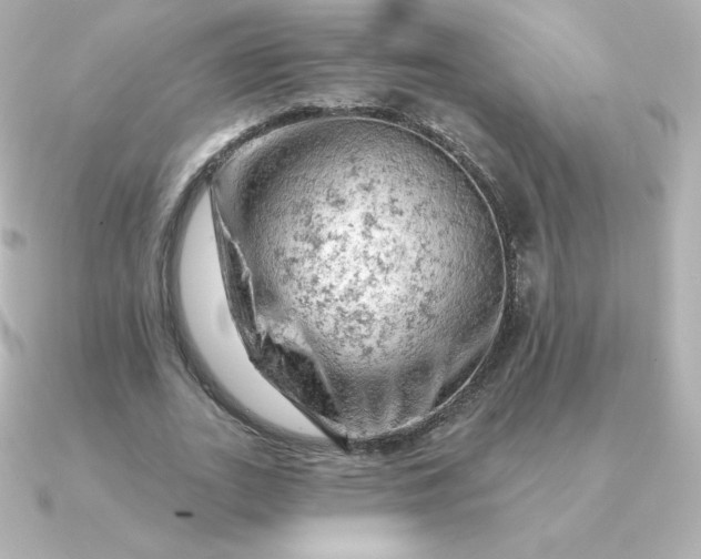 X0000090890727200708101402