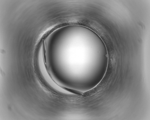 X0000090890728200708101402