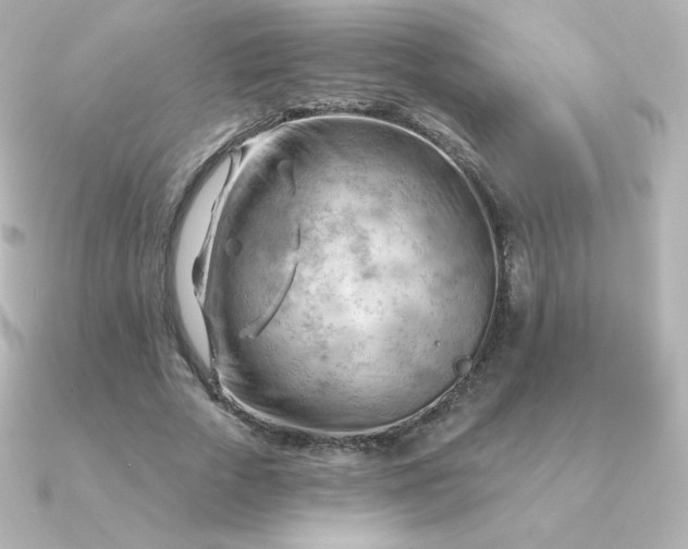 X0000090890729200708101402