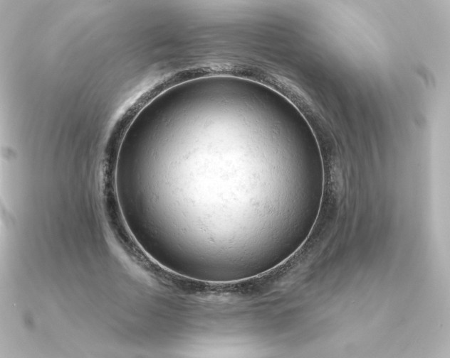 X0000090890730200708101402