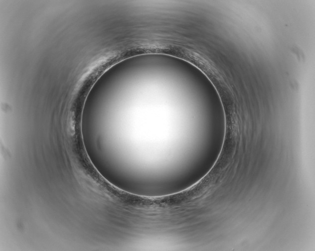 X0000090890731200708101402