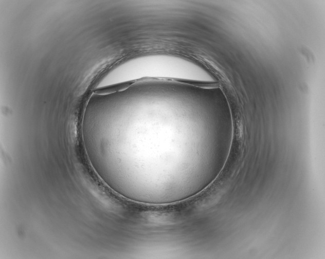 X0000090890733200708101402