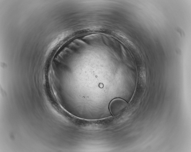 X0000090890734200708101402