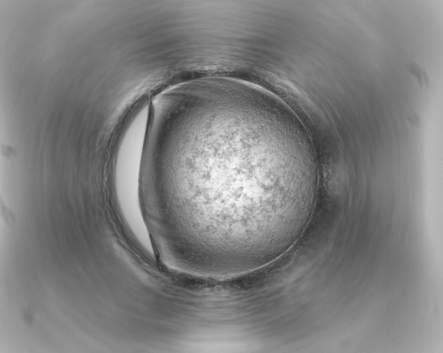 X0000090890735200708101402