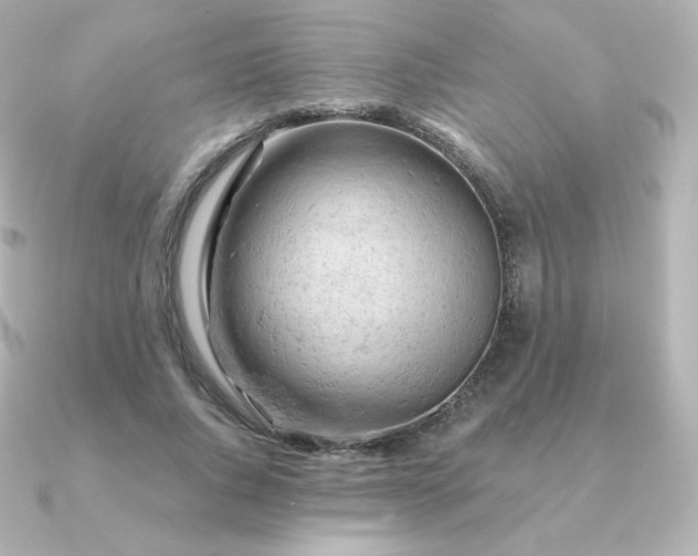 X0000090890736200708101402