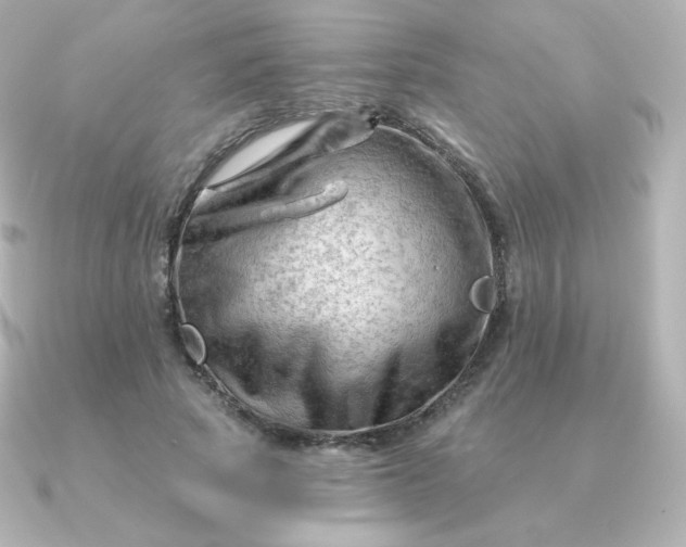 X0000090890737200708101402