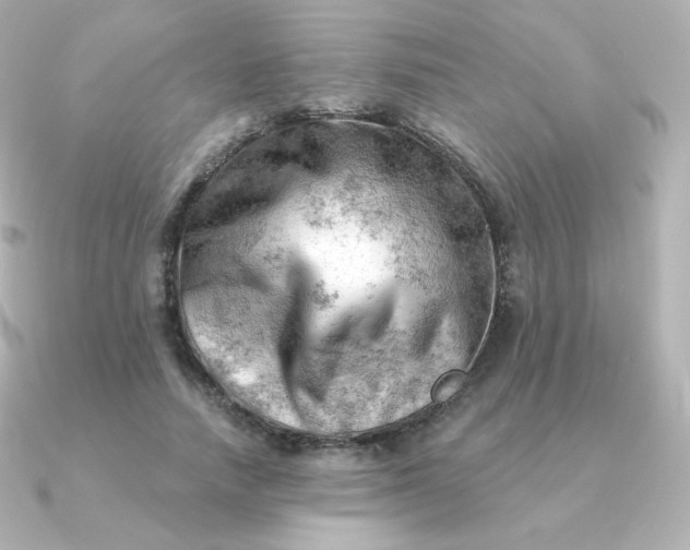 X0000090890738200708101402