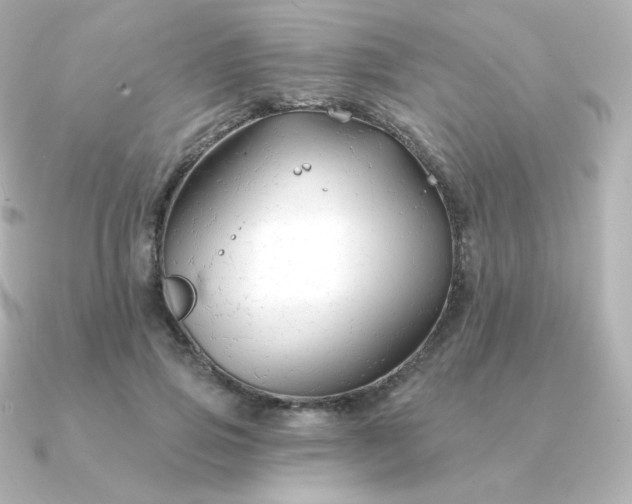 X0000090890741200708101402