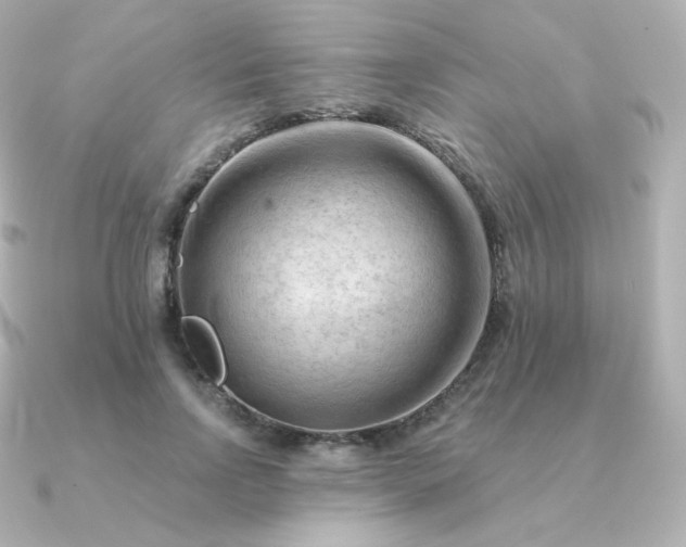 X0000090890742200708101402