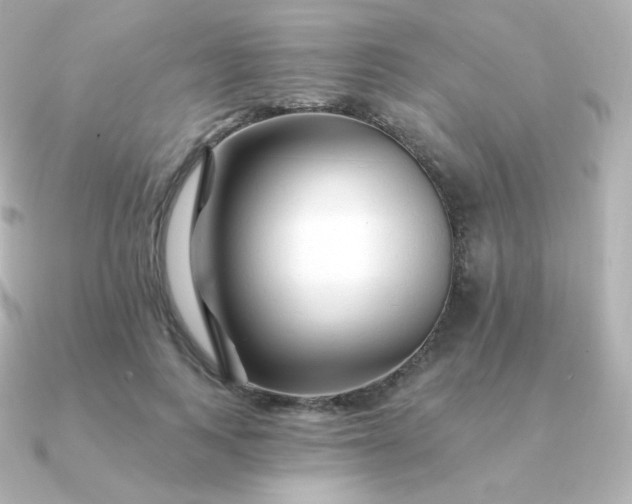 X0000090890743200708101402