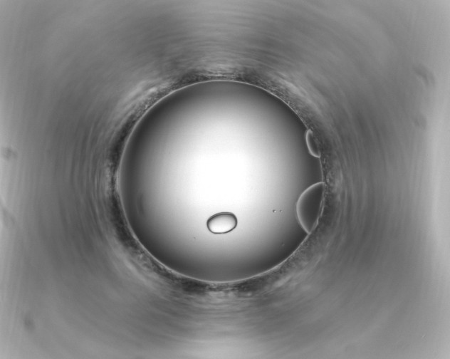 X0000090890744200708101402