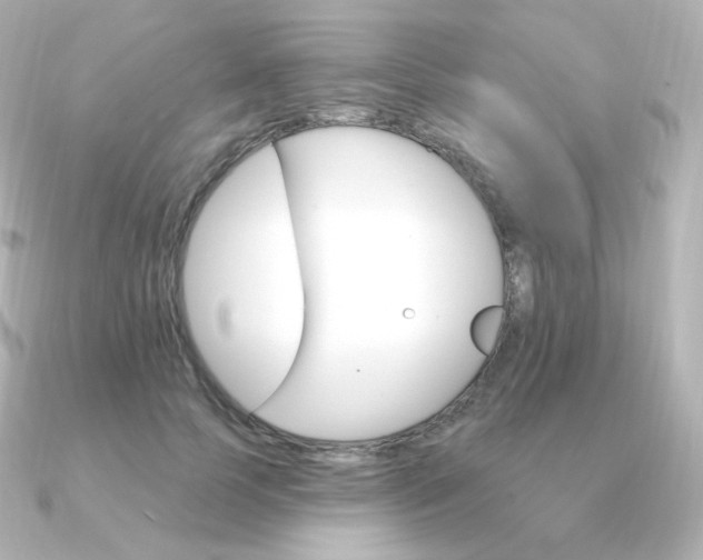 X0000090890745200708101402