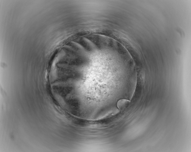 X0000090890746200708101402